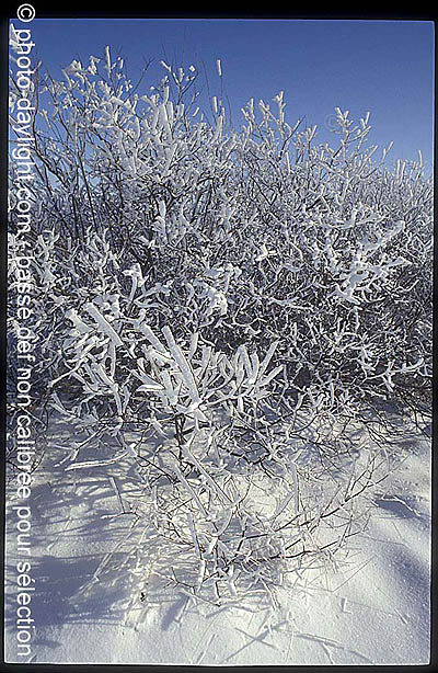 les Hautes Fagnes